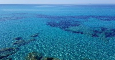 SOS από οικολογικές οργανώσεις για τα θαλάσσια οικοσυστήματα της Μεσογείου