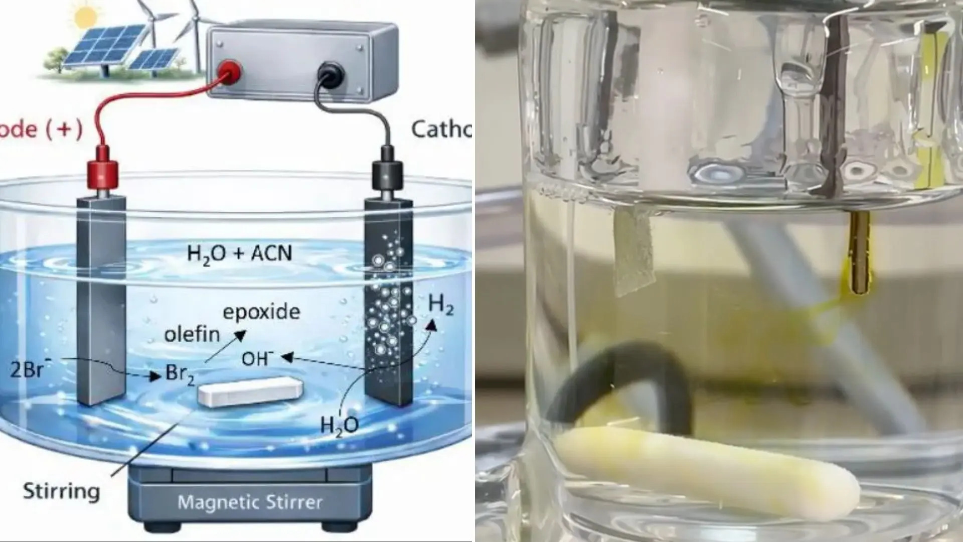 Thumbnails-for-IE-Electrolysis-_1.jpg