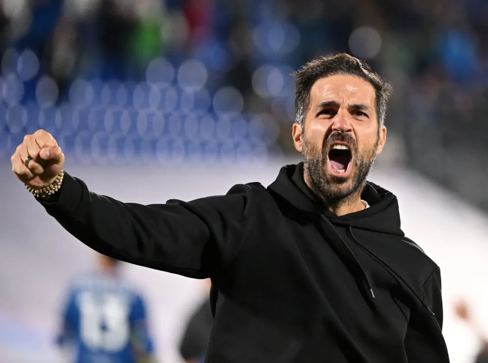 cesc.webp