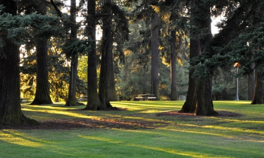 Το φιλόδοξο σχέδιο του Όρεγκον για την κλιματική αλλαγή