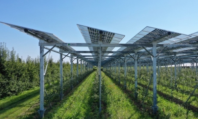 Ηλιακά πάρκα διαμορφώνουν το τοπικό κλίμα και τη βλάστηση σε άνυδρες περιοχές