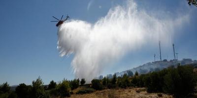 Βοιωτία: Μεγάλη φωτιά στον Πρόδρομο – Ειδοποίηση του 112 για εκκένωση