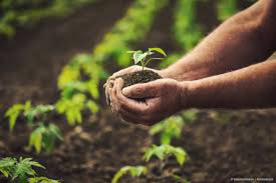 Η ΕΕ εξετάζει νέες επιδοτήσεις για την αντιμετώπιση της πίεσης στα αποθέματα νερού (Reuters)