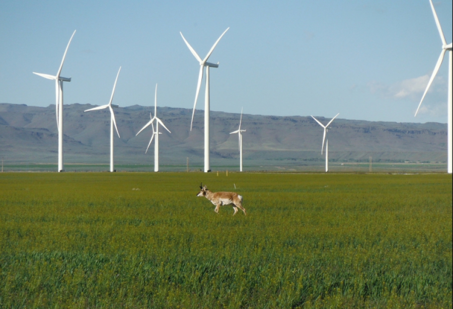ΤΕΝΕΡΓ: Πώληση του αιολικού πάρκου Mountain Air στις ΗΠΑ - Στα 215 εκατ. δολ. το τίμημα