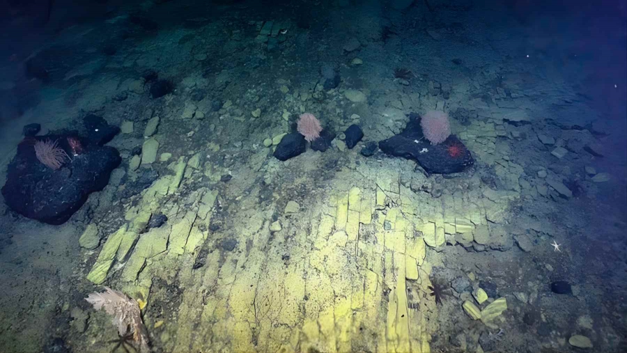 Πώς βρέθηκε ένας 