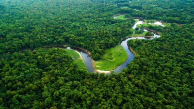 «Καμπανάκι» SOS για τον Αμαζόνιο – Η καταστροφή είναι μπροστά
