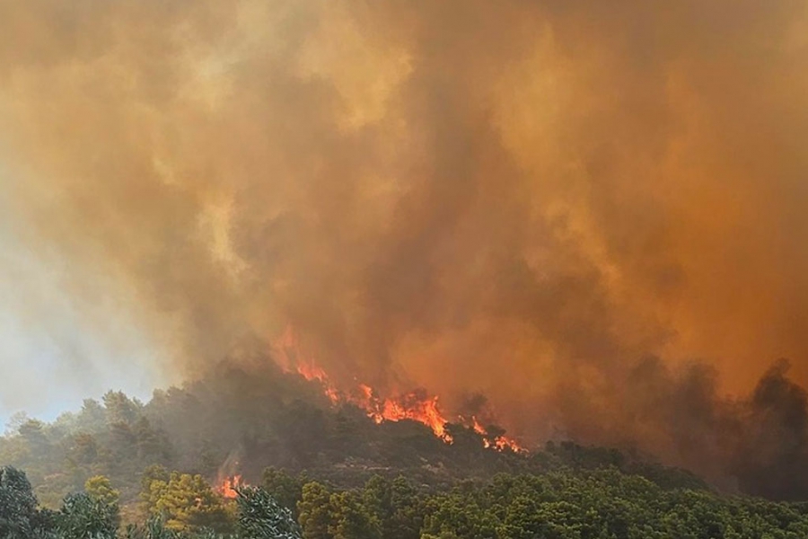 Σε ύφεση η φωτιά στη Ραφήνα - Εκκενώθηκαν τρεις οικισμοί - 51 απεγκλωβισμοί από την ΕΛΑΣ - Έστειλε βυτιοφόρα ο Δήμος Αθηναίων