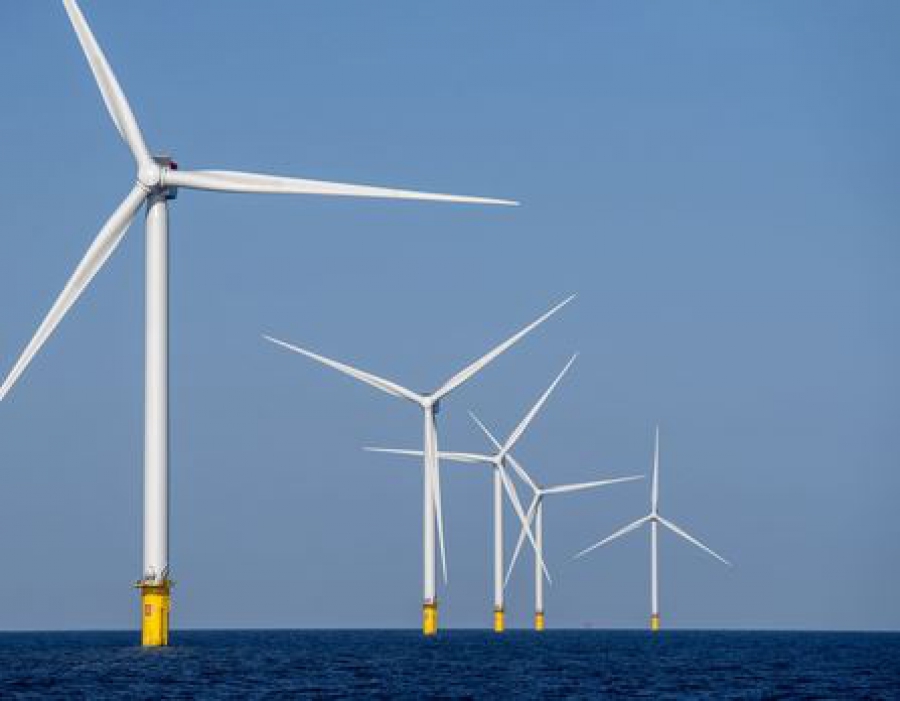 Η Ολλανδία αναβάλλει διαγωνισμούς για υπεράκτια αιολικά πάρκα λόγω χαμηλού ενδιαφέροντος