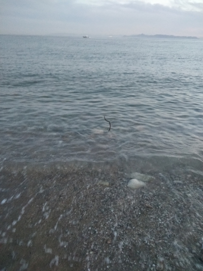 Αποκλειστικό: Θα σκοτωθεί κόσμος στη Β' πλαζ Γλυφάδας - Να επέμβει ο Δήμαρχος (Φωτογραφίες)