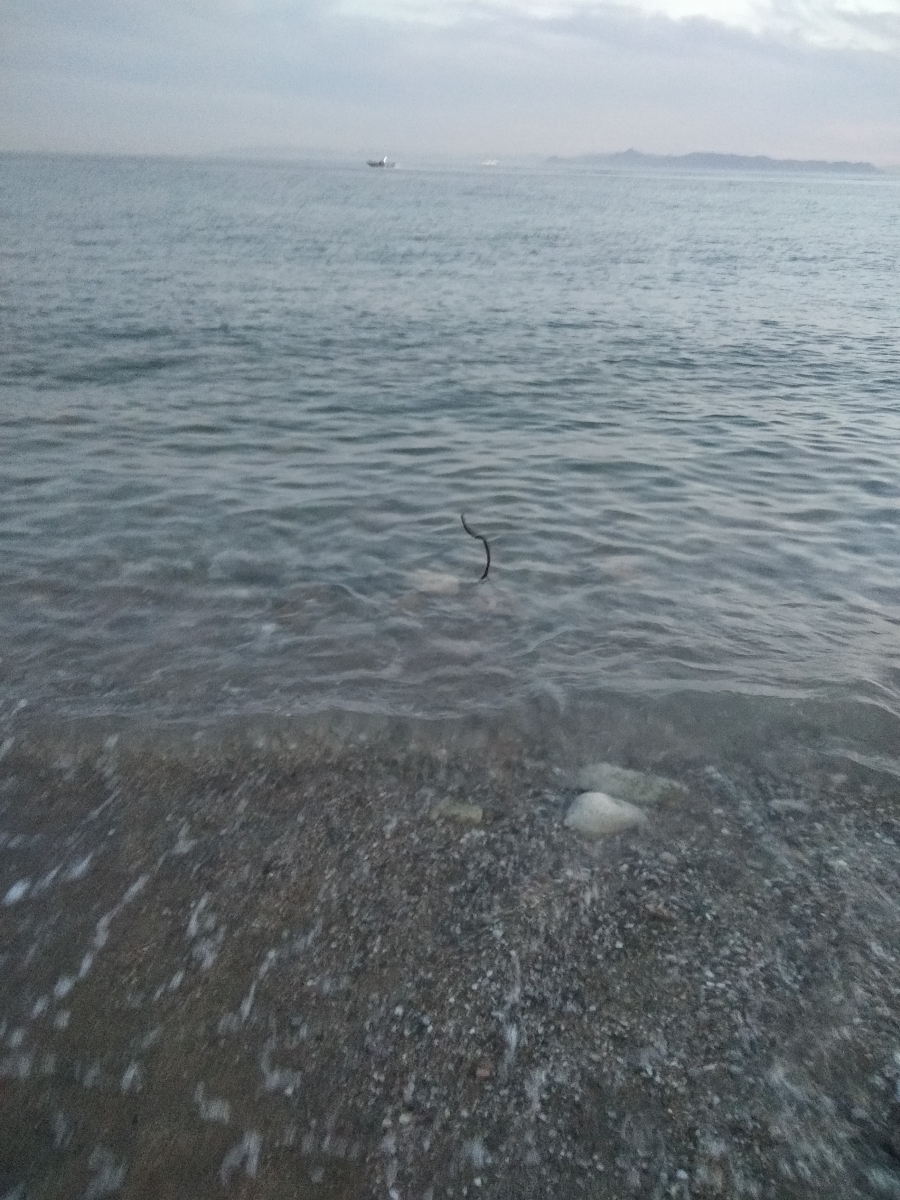 Αποκλειστικό: Θα σκοτωθεί κόσμος στη Β' πλαζ Γλυφάδας - Να επέμβει ο Δήμαρχος (Φωτογραφίες)