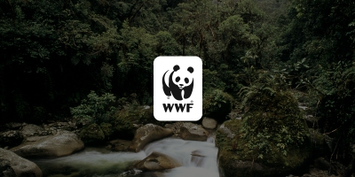 Η Ρωσία χαρακτήρισε «non grata» το Παγκόσμιο Ταμείο για τη Φύση, (WWF)