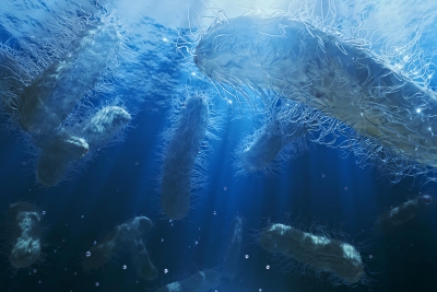 Πώς ο ωκεανός δεσμεύει και αποθηκεύει άνθρακα; (scitechdaily.com)