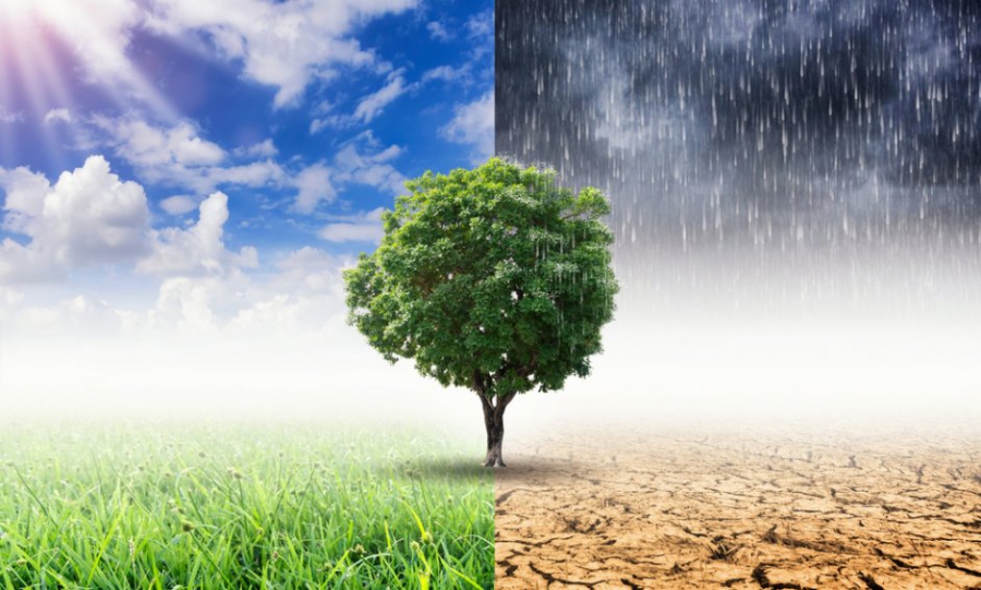 Νέα έκκληση της Tunberg στην ΕΕ να λάβει μέτρα για την κλιματική αλλαγή