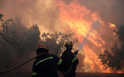 Σε πύρινο κλοιό με 81 πυρκαγιές η Ελλάδα - Εφιάλτης στην Εύβοια - Συναγερμός για Ρόδο - Μήνυμα από 112 για Κρήτη