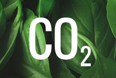 Green Tank: Μειώθηκαν κατά 27,5% οι εκπομπές CO2 το πρώτο τρίμηνο