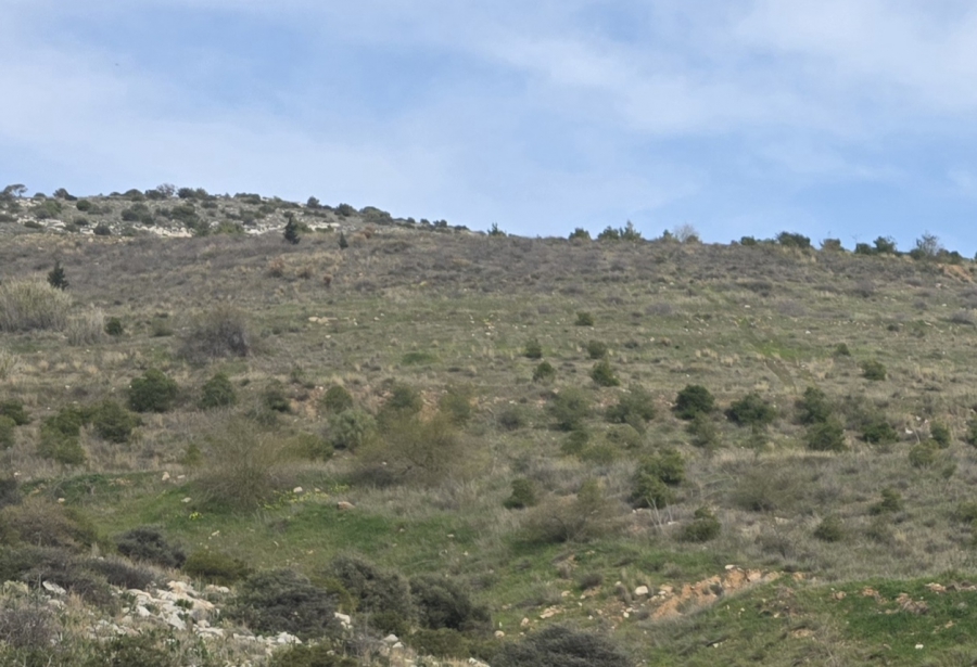 Οριστικό τέλος στη χωματερή του Σχιστού με τα ραδιενεργά υλικά