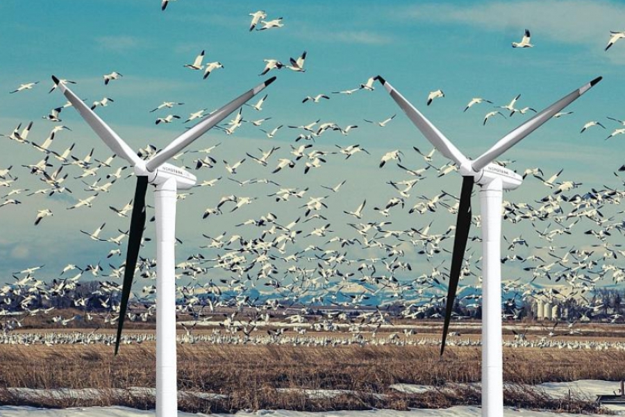 Γιατί οι ανεμογεννήτριες βάφονται μαύρες – Τι προτείνει το Νορβηγικό Ινστιτούτο για τη Φύση