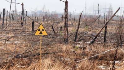 40 χρόνια αργότερα, η ραδιενεργή μόλυνση από το Chernobyl δεν είναι αυτή που περίμεναν οι επιστήμονες (ScienceDaily)