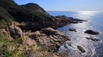 Στην Ιαπωνία η στάθμη της θάλασσας μετατοπίζεται δημιουργώντας πρόβλημα στα ψάρια (yahoo.com)