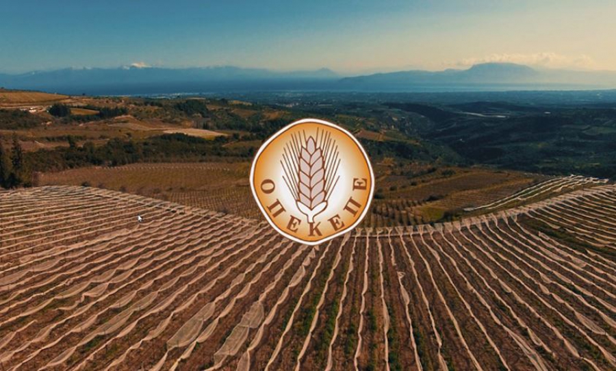 ΕΕ: Απειλεί με «πάγωμα» των αγροτικών επιδοτήσεων στην Ελλάδα εξαιτίας ΟΠΕΚΕΠΕ (Politico)