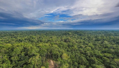 Μελέτη: Εκπομπές περισσότερου CO2 από την Αμαζονία της Βραζιλίας την τελευταία 10ετία