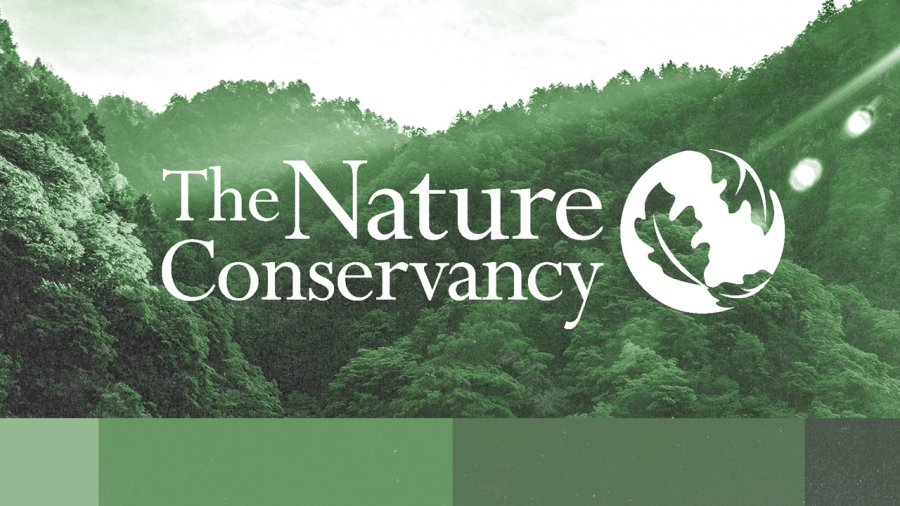 Πως η Νature Conservancy προσφέρει στους κολοσσούς της Wall συμφέρουσα αντιστάθμιση άνθρακα