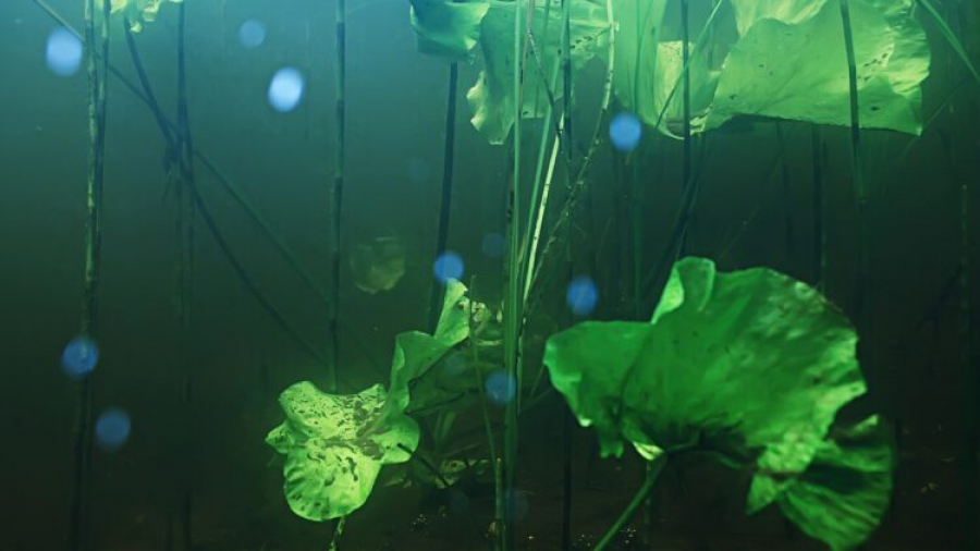 Μια νέα πηγή ενέργειας αναδύεται από τα βάθη της θάλασσας 100 φορές πιο ισχύρη (ecoportal.net)