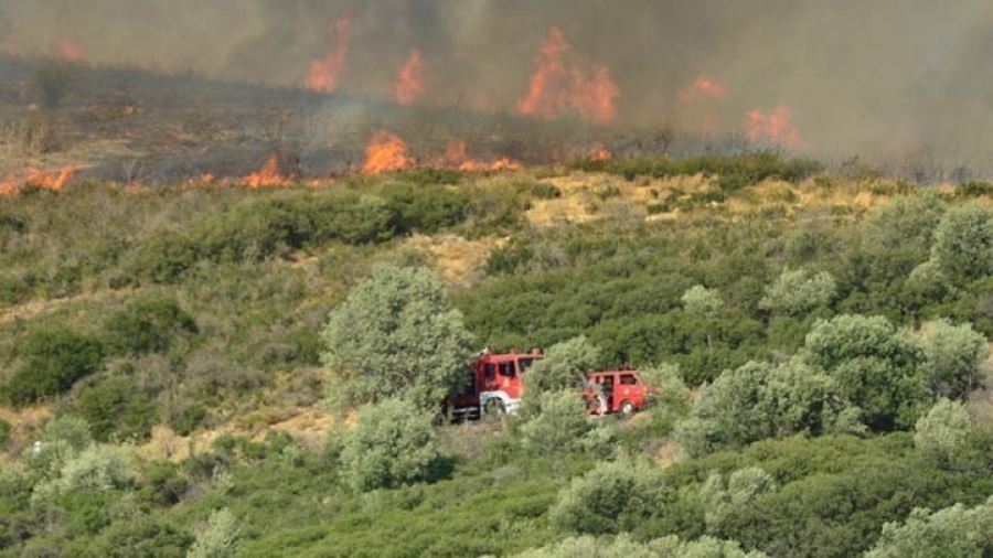 Φωτιά στον δήμο Μάνης Μεσσηνίας - Επιχειρούν 17 πυροσβέστες