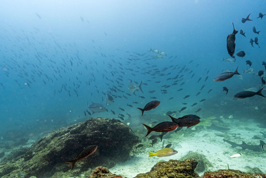 Ανακαλύφθηκε γλυκό νερό κάτω από τον Ατλαντικό- Τι σημαίνει αυτό για το μέλλον; (CNN)