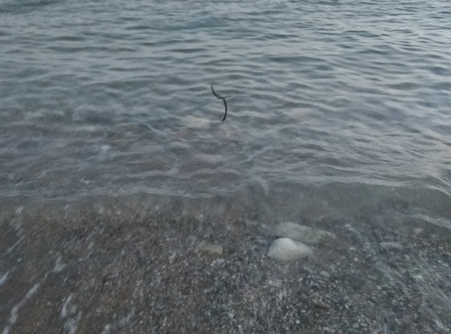 Δεν λύθηκε 100% το πρόβλημα με σίδερο - «καρμανιόλα» στη Β' πλαζ Γλυφάδας - Να ασχοληθεί άμεσα ο Δήμος