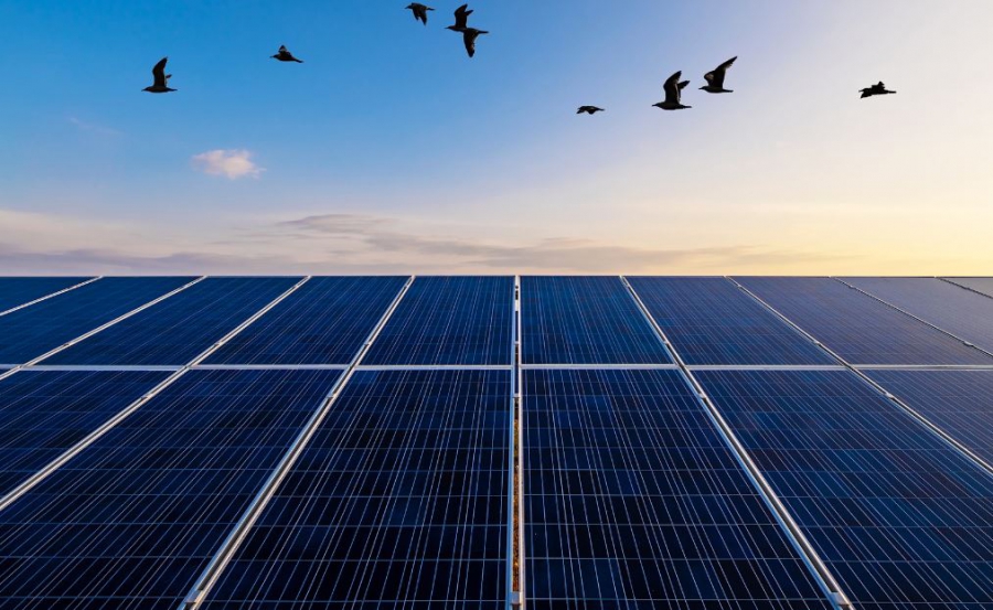 Μυτιληναίος: Ολοκληρώθηκε το έργο αποθήκευσης μπαταριών 30 MWh στη Σκωτία