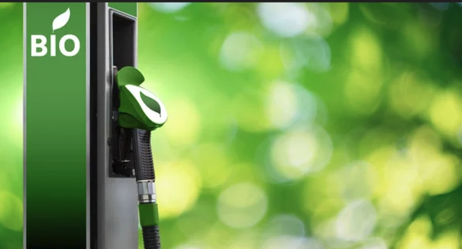 ΕΙΑ: Η αύξηση της παραγωγικής ικανότητας βιοκαυσίμων στις ΗΠΑ επιβραδύνθηκε το 2024