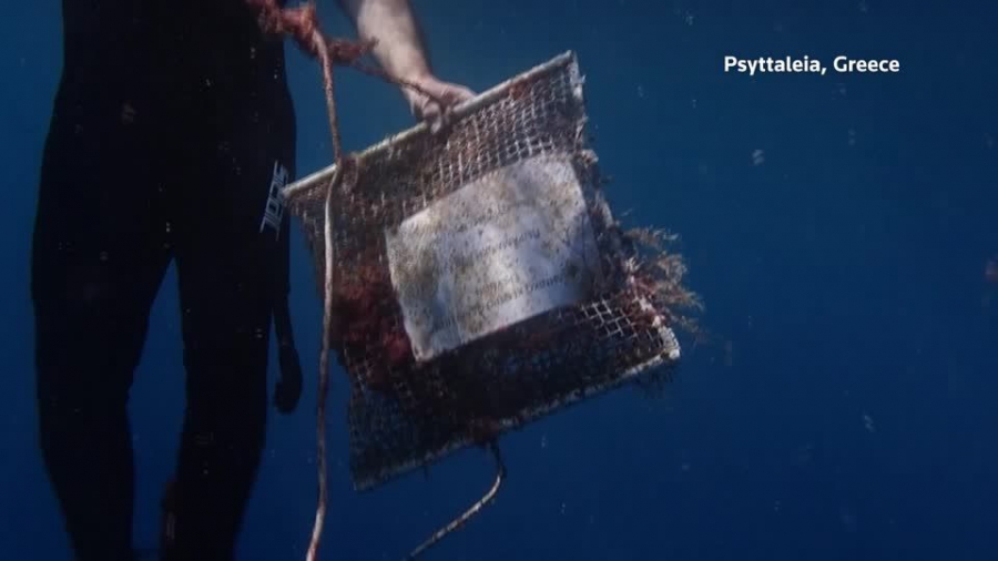 Τα μύδια αποκαλύπτουν την ρύπανση από πλαστικό στις θάλασσες της Ελλάδας (Reuters)