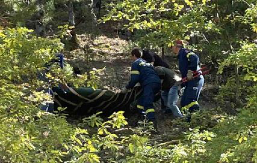 Απελευθέρωση αρκούδας από την Ομάδα Άμεσης Επέμβασης της Περιφερειακής Ενότητας Φλώρινας