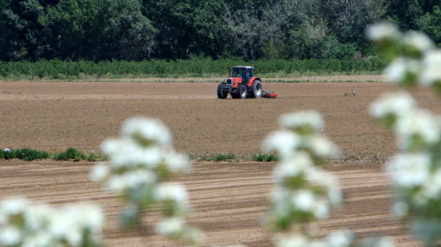 Παρατείνεται η προθεσμία καταβολής της ειδικής εισφοράς υπέρ ΕΛΓΑ του 2025