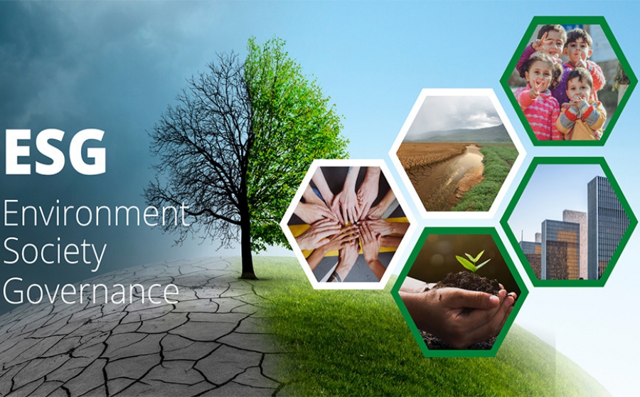 Bloomberg: Η BofA επιστρέφει στην αγορά ESG