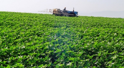 Bankingnews: Στις «ράγες» του ΟΠΕΚΕΠΕ κινούνται ΕΛΓΟ Δήμητρα και ΟΦΥΠΕΚΑ - Τι ερευνά η Ευρωπαϊκή Εισαγγελία