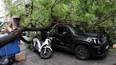 Πτώση δέντρου στο κέντρο της Αθήνας, με έναν τραυματία