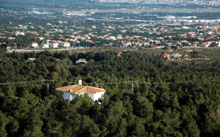 Τι αλλάζει στη ζωή μας με τον νέο περιβαλλοντικό νόμο - Τι ισχύει για οικοδομικές  άδειες και δασικούς χάρτες