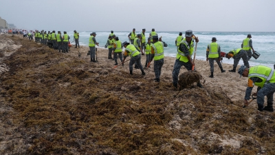 Οι επιστήμονες προειδοποιούν για «αλλαγή καθεστώτος» καθώς τα φύκια ανθίζουν παγκοσμίως (The Guardian)