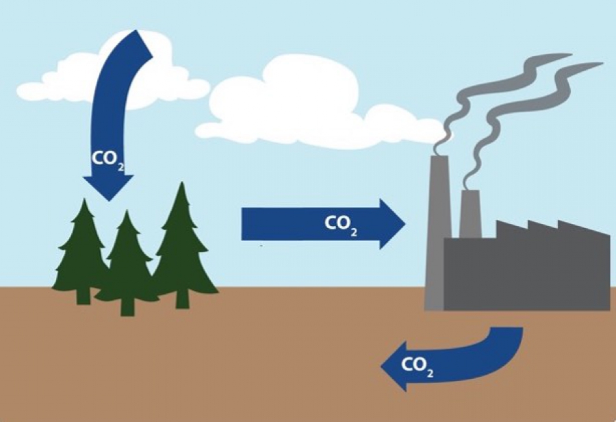 Brian Di Marino στο Bloomberg: Κλειδί για την αφαίρεση άνθρακα η επένδυση στις νέες τεχνολογίες