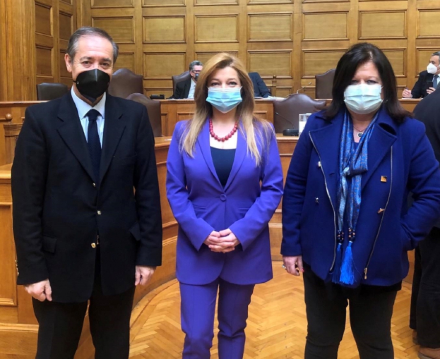 Πρόεδρος της Επιτροπής Περιβάλλοντος επανεξελέγη η Δ. Αυγερινοπούλου