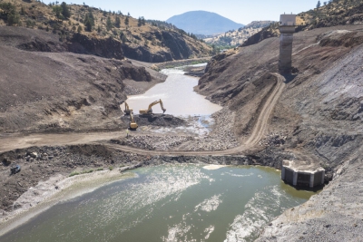 Τέσσερα υδροηλεκτρικά φράγματα έκλεισαν και ο σολομός βρήκε το δρόμο του για το σπίτι του