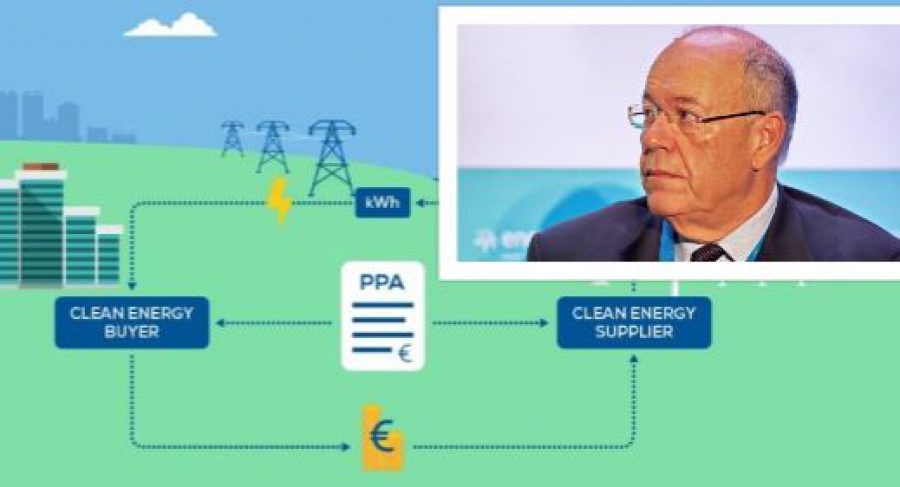 Κάπρος: Ακόμη και στο μισό μπορεί να πέσουν οι λιανικές τιμές αν εφαρμοστούν τα διμερή συμβόλαια