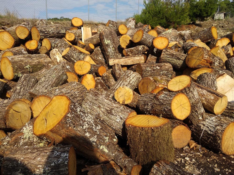 Ανανεώσιμος άνθρακας - Το ξύλο στους στόχους της ΕΕ για την κυκλική οικονομία