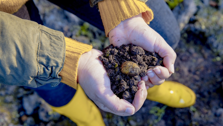 Μολυσμένο λίπασμα διασκορπισμένο σε 10.000 στρέμματα μπορεί να προκαλέσει θανατηφόρα προβλήματα (The New York Times)