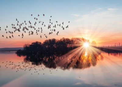 Τρεις άνθρωποι επιμένουν στην αγάπη τους για τις θάλασσες και τις λίμνες (The Sumday Times)