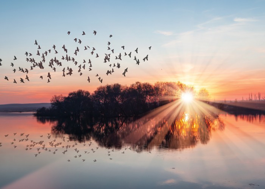 Τρεις άνθρωποι επιμένουν στην αγάπη τους για τις θάλασσες και τις λίμνες (The Sumday Times)