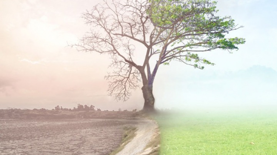 Η κλιματική αλλαγή «κοστίζει» και στη λαχανοκομία