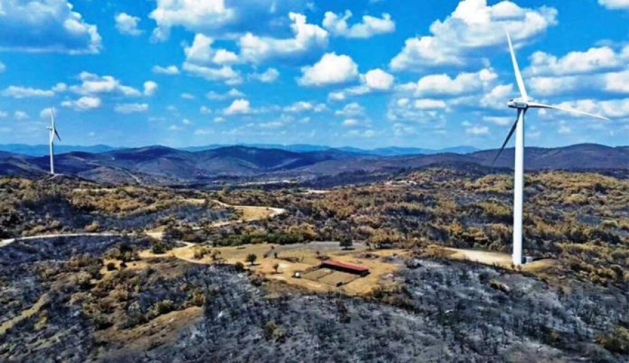 Φρένο στα αιολικά εντός καμένης γης στον Έβρο - Απορρίφθηκαν έντεκα αιτήσεις περιβαλλοντικής αδειοδότησης